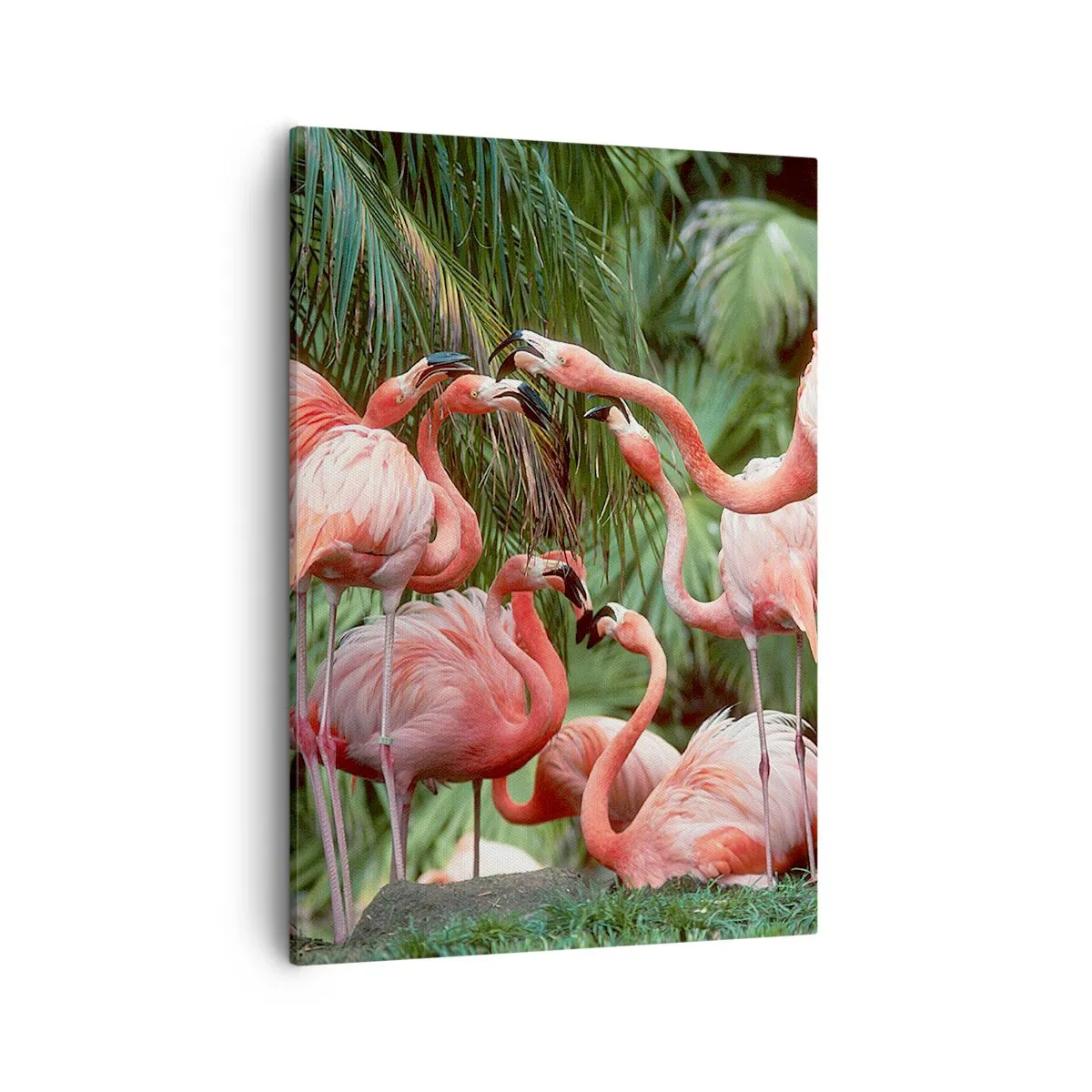 Cuadro sobre lienzo - Impresión de Imagen - Un grupo de flamencos en un entorno tropical rodeado de palmeras. - 50x70cm - Cotilleos de la tarde - Decoración de pared moderna para salón y dormitorio ARTTOR