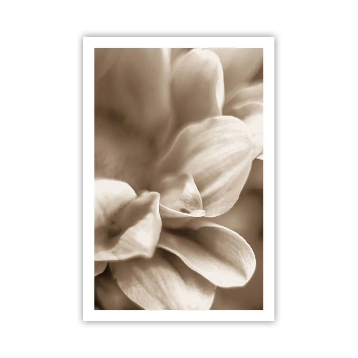 Póster - Suave como una sonrisa - 61x91 cm