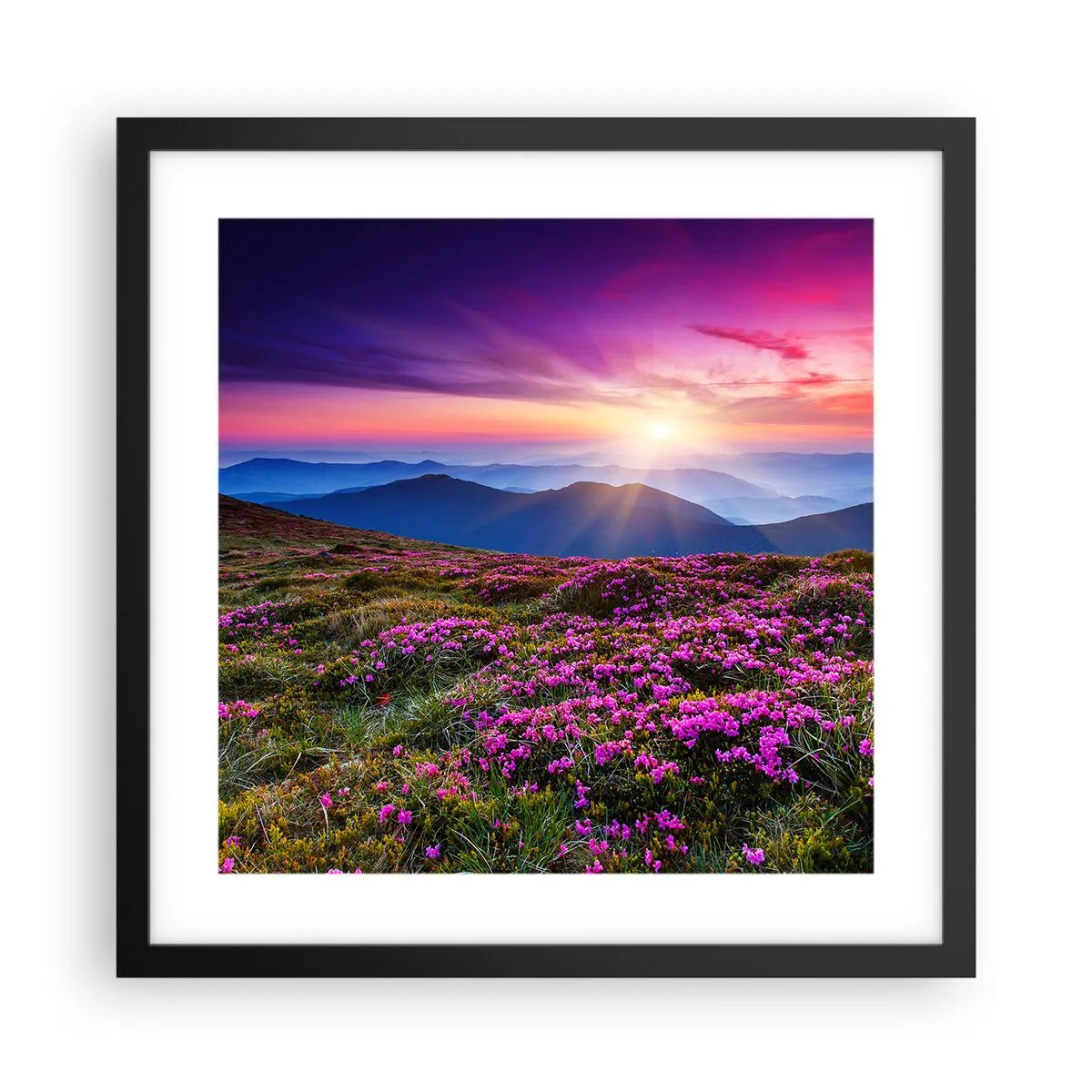 Póster en marco negro - Dulce aroma a frescura - 40x40 cm