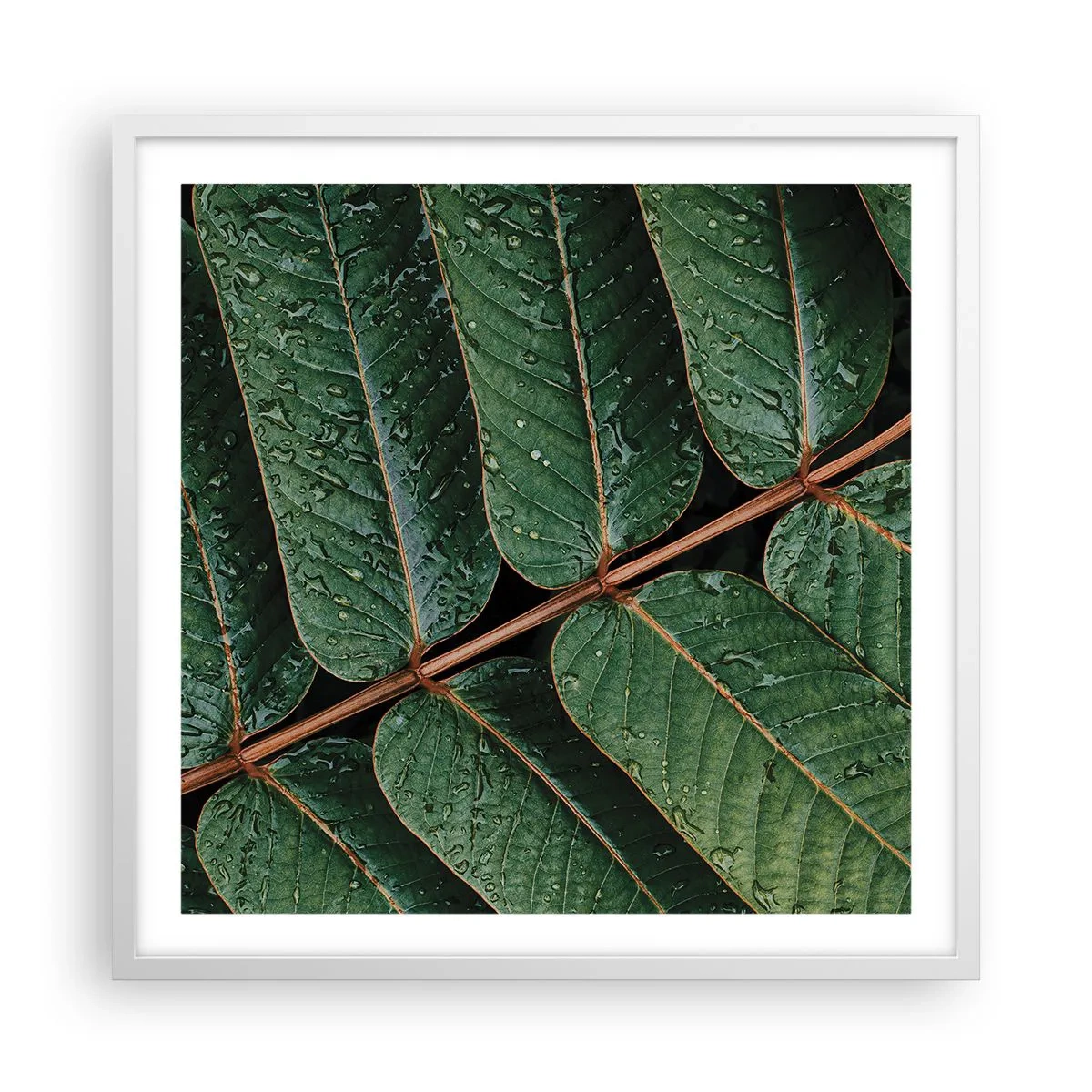 Póster en marco blanco - En un ritmo verde - 60x60 cm