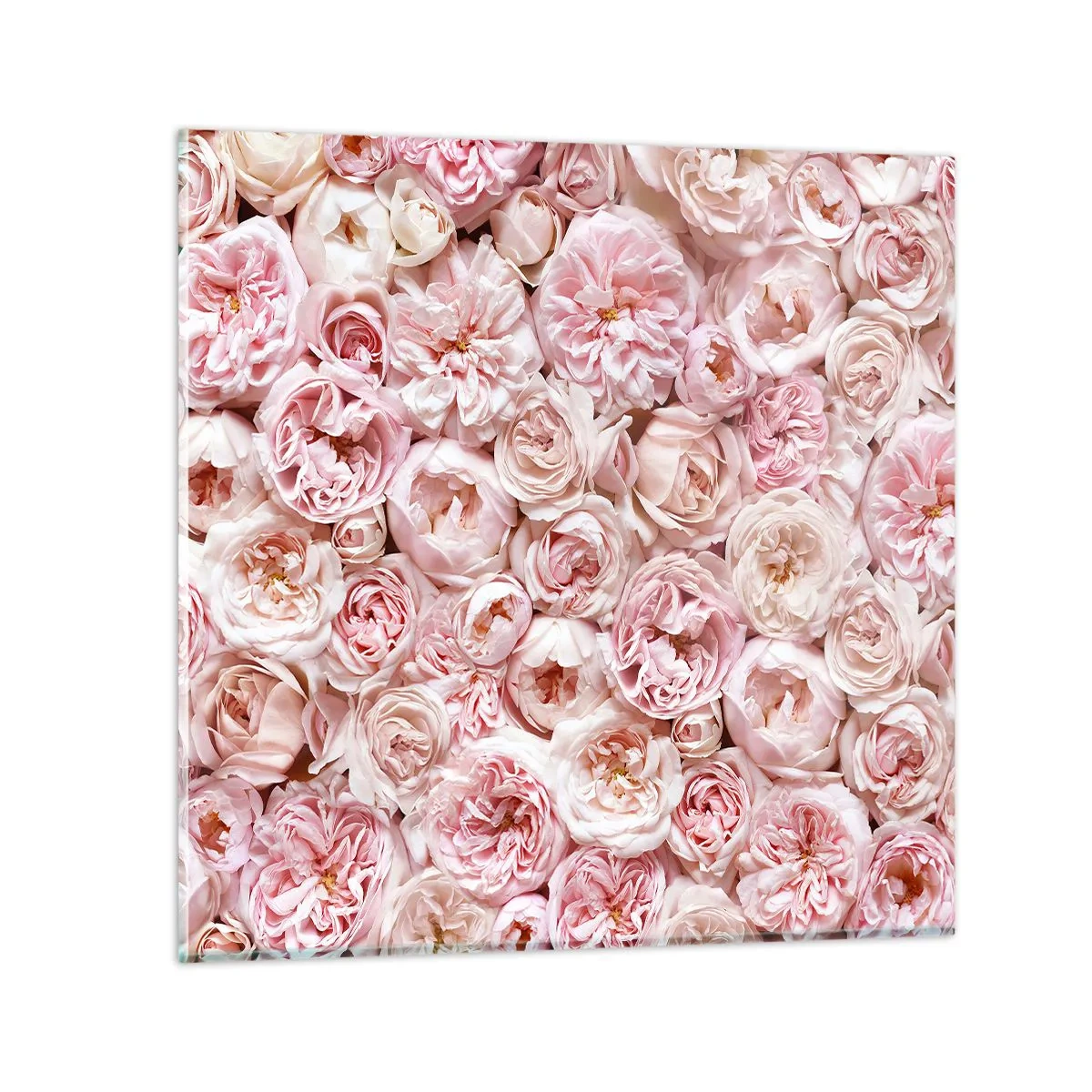Cuadro sobre vidrio - Impresiones sobre Vidrio - Salpicado de rosas - 70x70 cm