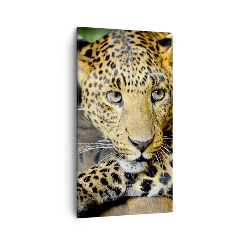 Cuadro sobre lienzo - Impresión de Imagen - No tengas miedo, vamos - 45x80 cm