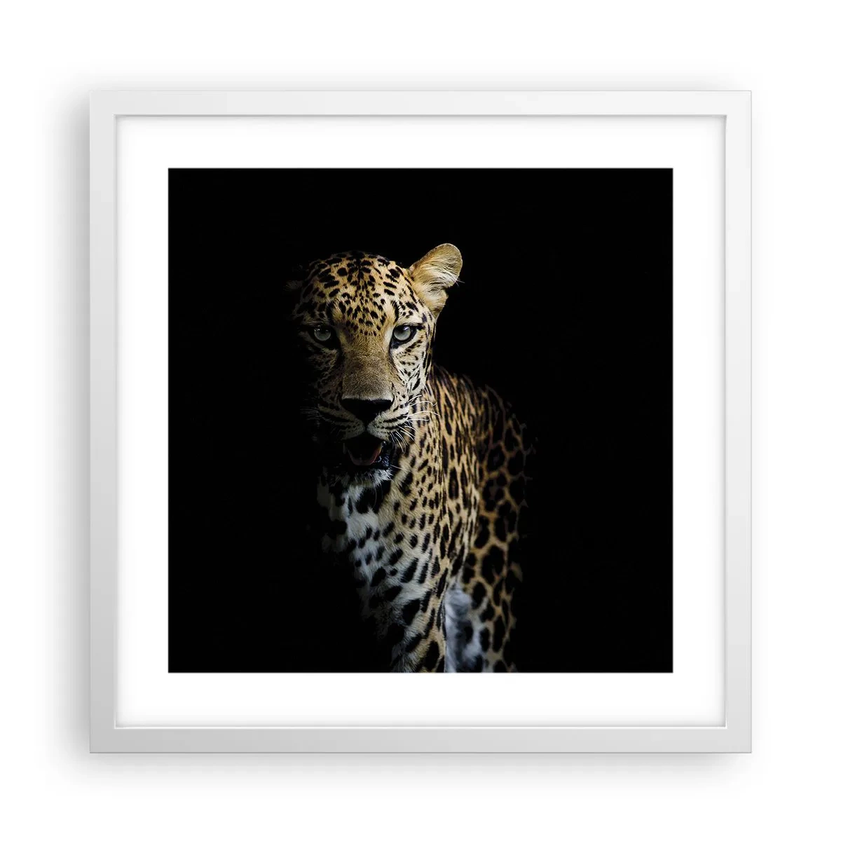 Póster en marco blanco - Belleza oscura - 40x40 cm