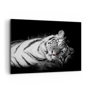 Cuadro sobre lienzo - Impresión de Imagen - Un tigre blanco representado artísticamente sobre un fondo negro. - 120x80cm - Salvaje y tranquilo - Decoración de pared moderna para salón y dormitorio ARTTOR
