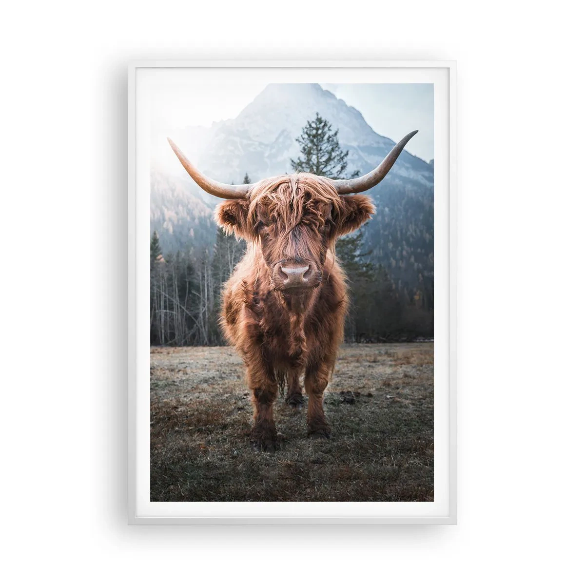 Póster en marco blanco - Saludos desde un prado de montaña - 70x100 cm