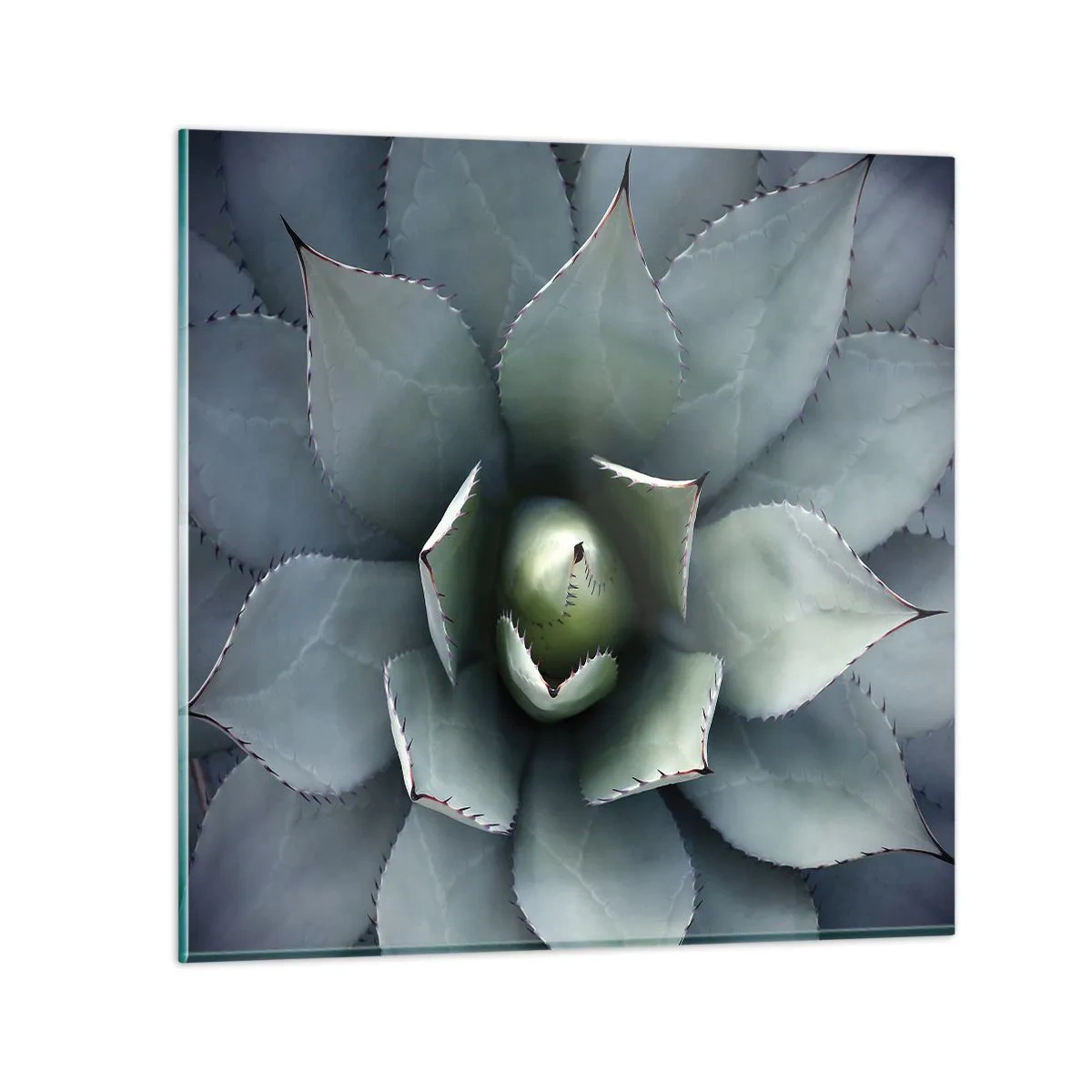 Cuadro sobre vidrio - Impresiones sobre Vidrio - Perfección natural - 40x40 cm