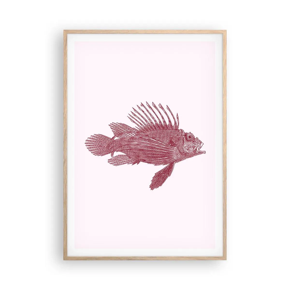 Póster en marco roble claro - Un habitante de aguas exóticas - 70x100 cm