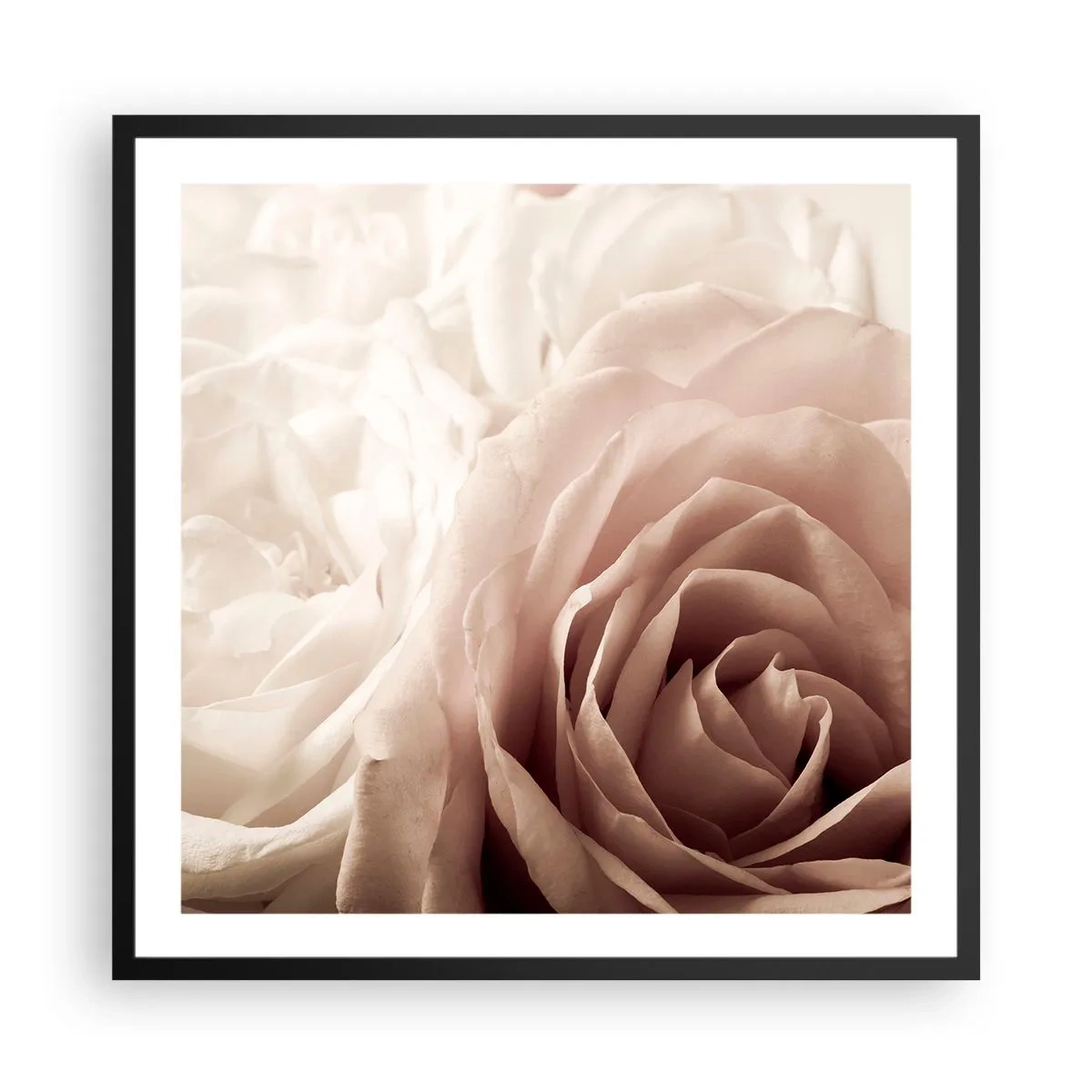 Póster en marco negro - En el corazón de una rosa - 60x60 cm