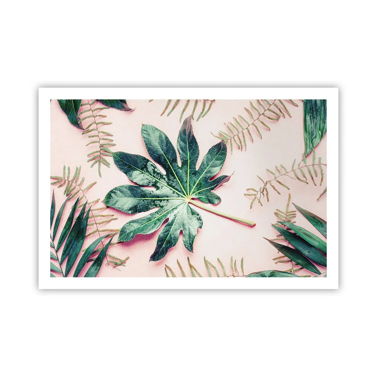 Póster - Estudio de vegetación sobre fondo rosa - 91x61 cm