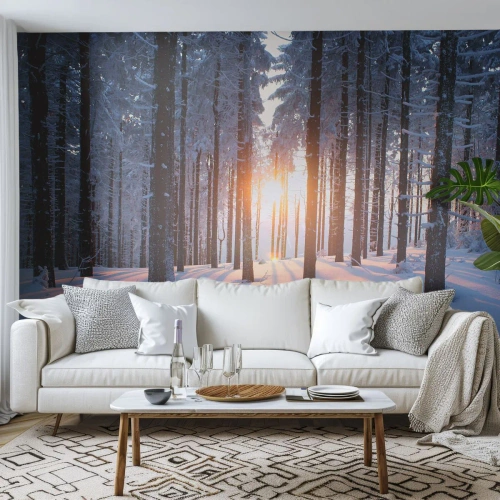 Fotomural personalizado Premium Sand - Claramente en blanco y negro - Paisaje, Bosque, Nieve