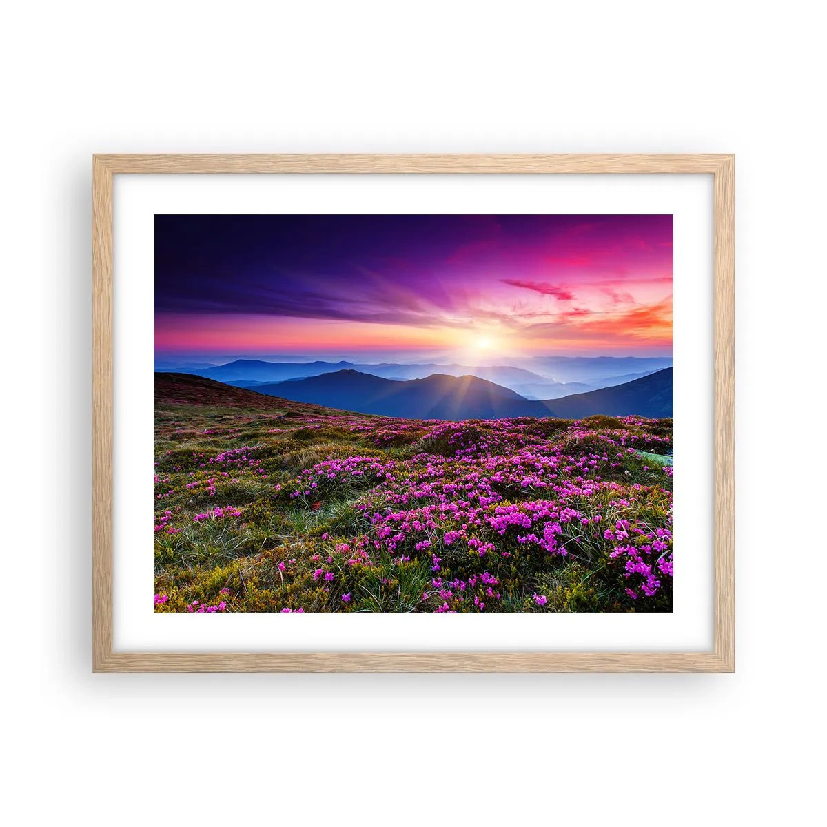 Póster en marco roble claro - Dulce aroma a frescura - 50x40 cm