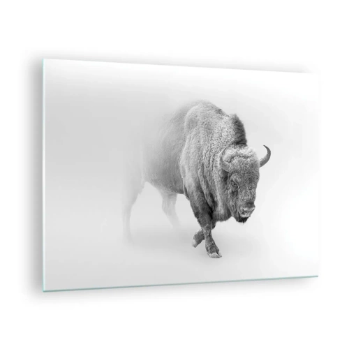 Cuadro sobre vidrio - Impresiones sobre Vidrio - Ilustración en blanco y negro de un majestuoso bisonte. - 70x50cm - Rey de la pradera - Decoración de pared moderna para salón y dormitorio ARTTOR