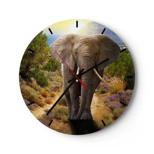 Reloj de pared - Reloj de vidrio - Un elefante en el fondo de la naturaleza en un día soleado. - 30x30cm - Este es el aspecto del Edén - Decoración de pared moderna para salón, cocina y dormitorio ARTTOR