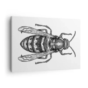 Cuadro sobre lienzo - Impresión de Imagen - Un motivo de avispa de dibujos animados sobre un fondo blanco en un estilo minimalista. - 70x50cm - Desde un planeta de insectos - Decoración de pared moderna para salón y dormitorio ARTTOR