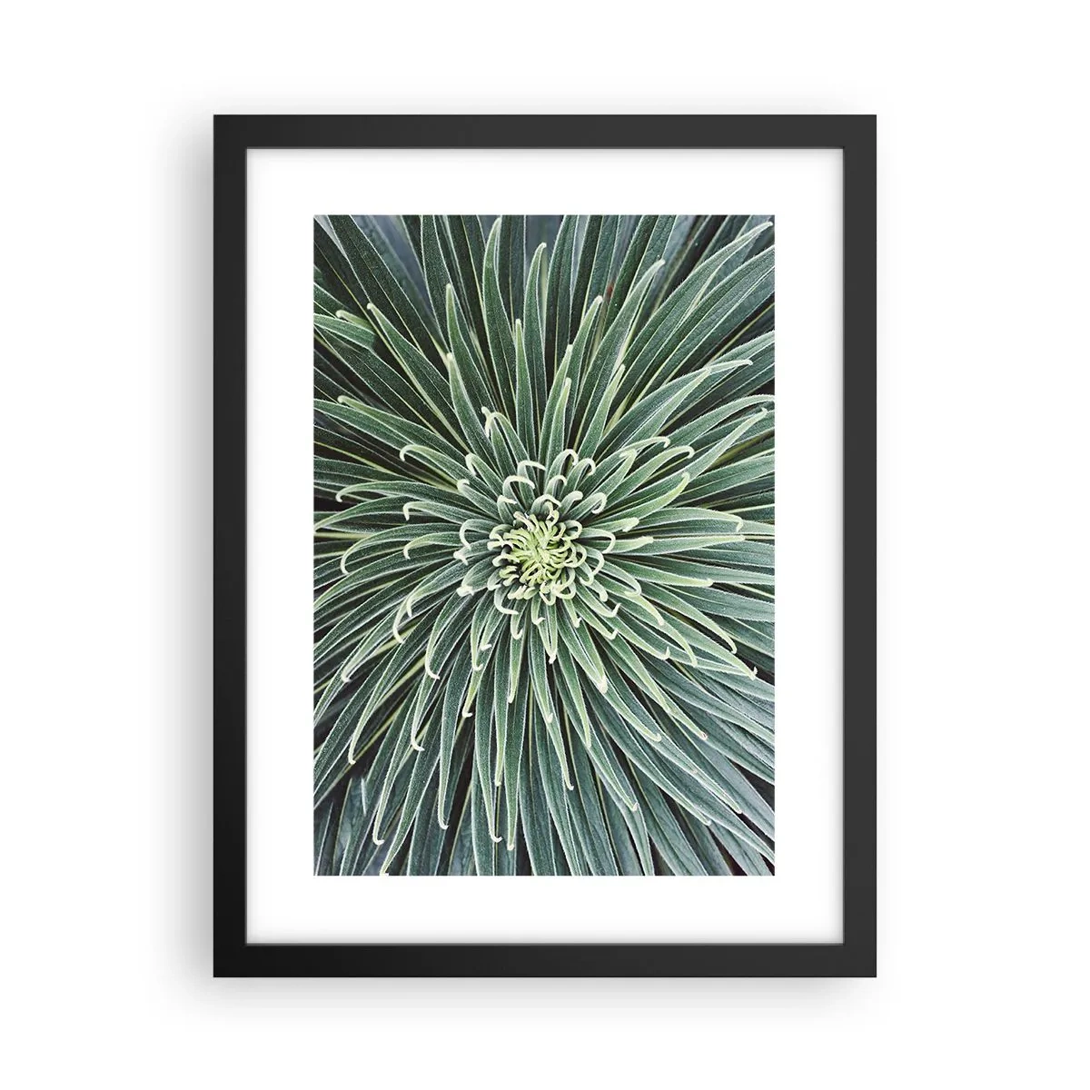 Póster en marco negro - El nacimiento de una estrella - 30x40 cm