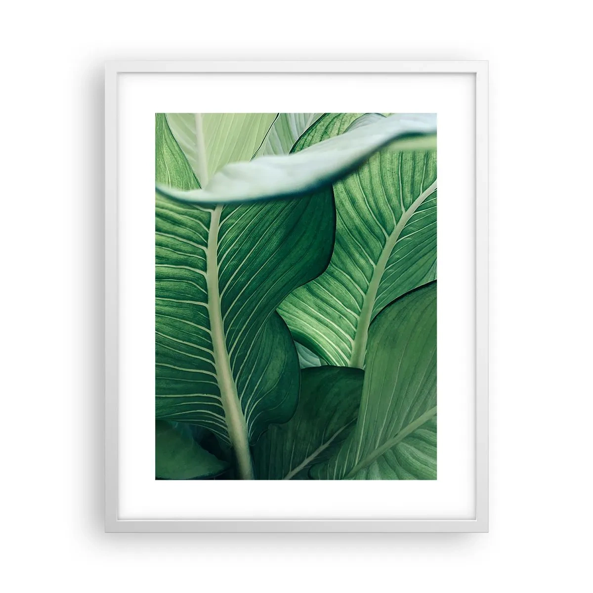 Póster en marco blanco - Vida intensamente verde - 40x50 cm
