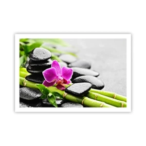 Póster - En equilibrio pacífico - 91x61 cm