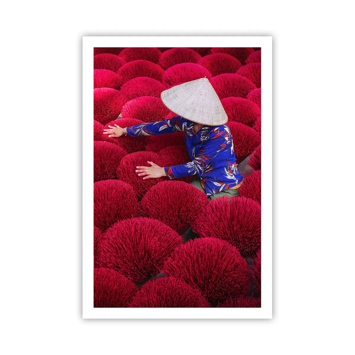 Póster - En un campo de arroz - 61x91 cm