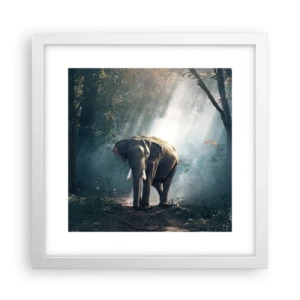 Póster en marco blanco - Un paseo tranquilo - 30x30 cm