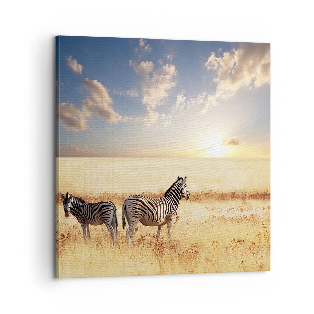 Cuadro sobre lienzo - Impresión de Imagen - Vete, no perturbes la paz - 60x60 cm