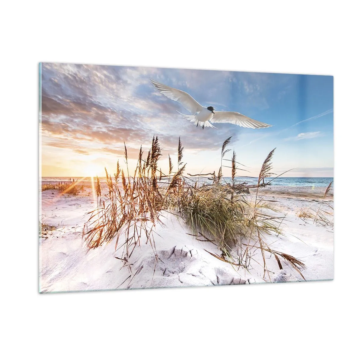 Cuadro sobre vidrio - Impresiones sobre Vidrio - Un pájaro volando sobre las dunas al atardecer. - 120x80cm - Viento del mar - Decoración de pared moderna para salón y dormitorio ARTTOR