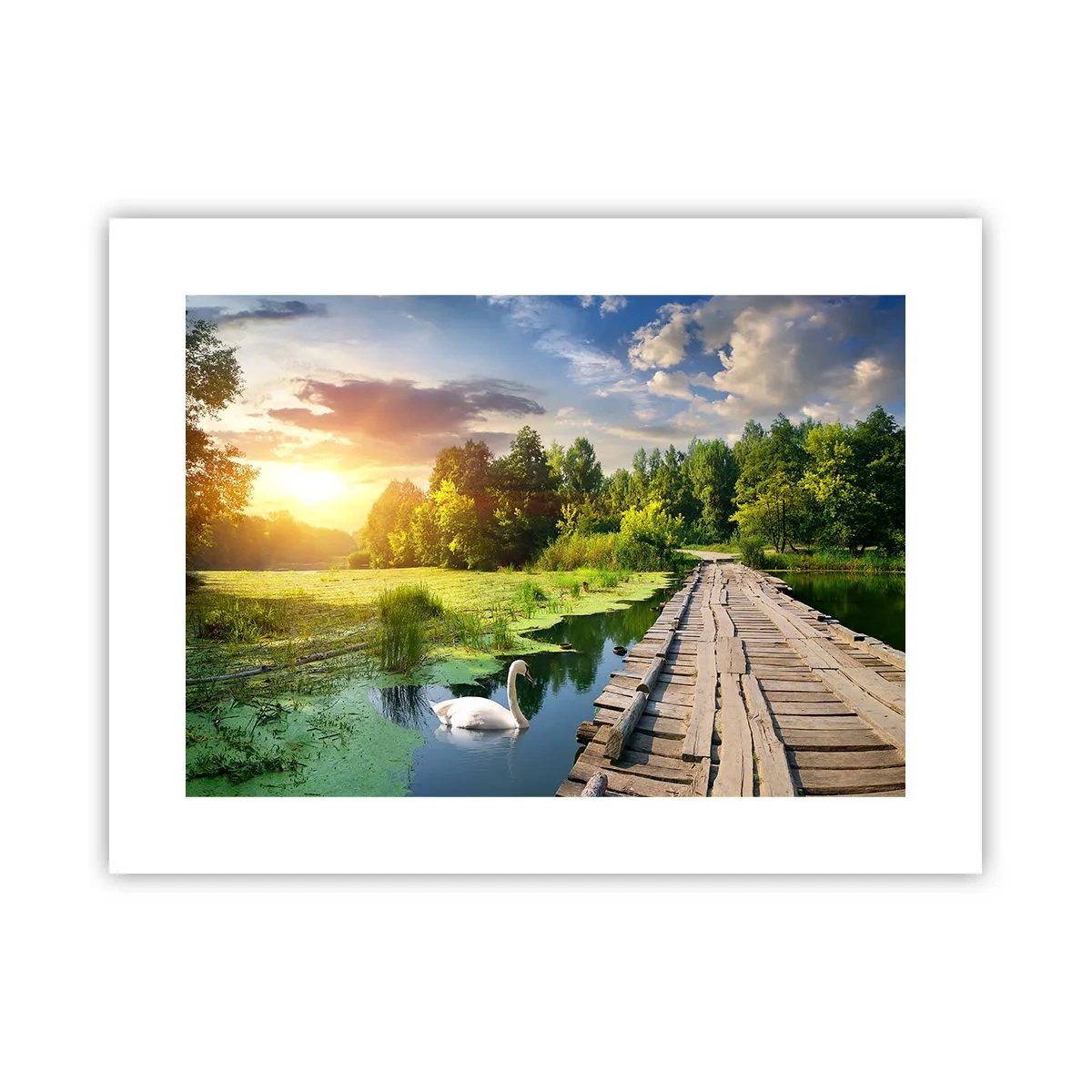 Póster - Verano, verano en todas partes - 40x30 cm