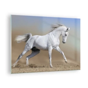 Cuadro sobre vidrio - Impresiones sobre Vidrio - Un caballo blanco galopando por el suelo arenoso. - 70x50cm - El más bello cuento de hadas árabe - Decoración de pared moderna para salón y dormitorio ARTTOR
