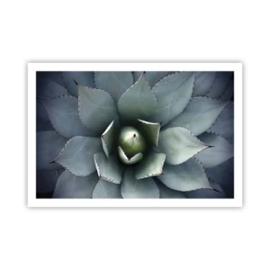 Póster - Perfección natural - 91x61 cm