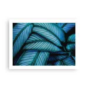 Póster - Líneas de vida - 70x50 cm