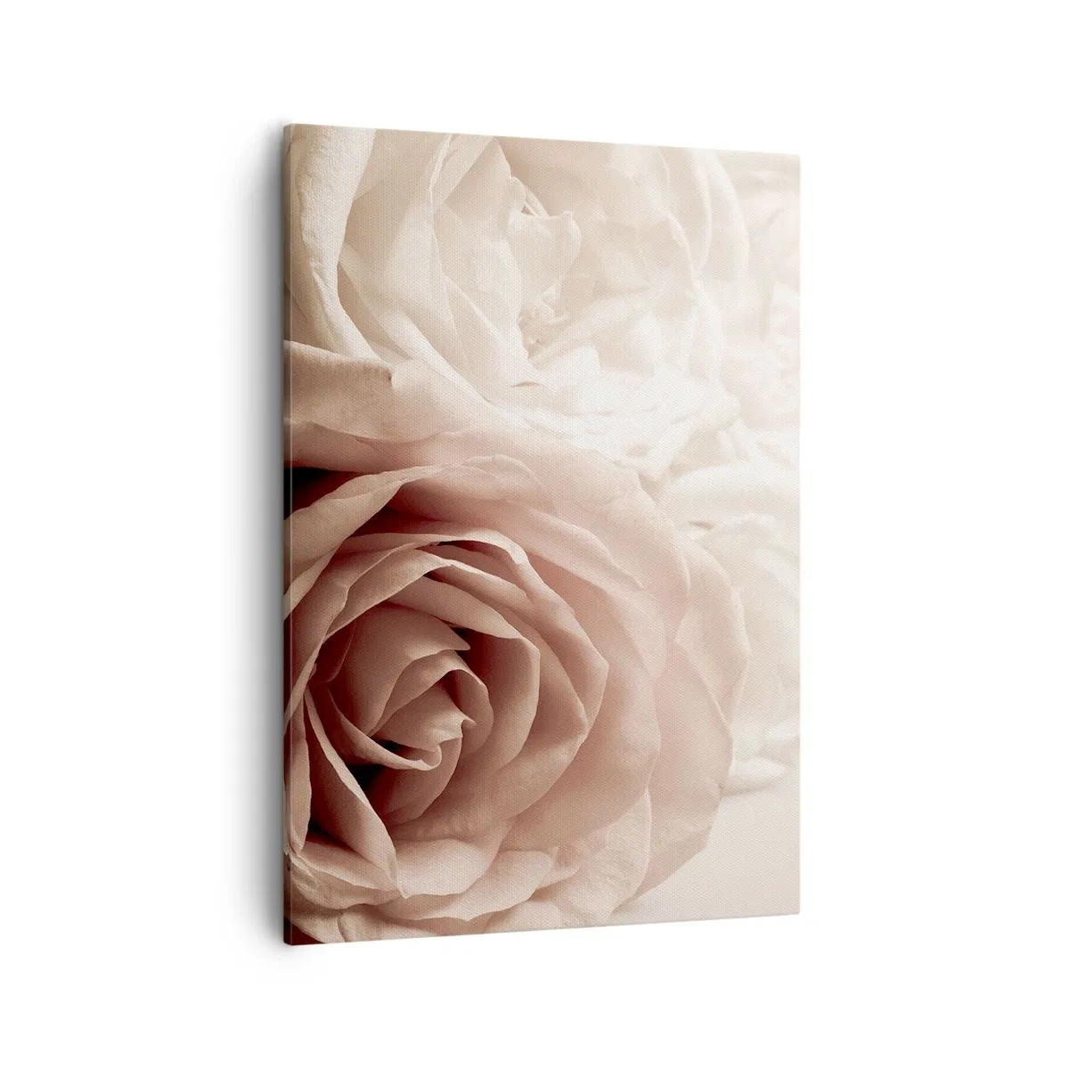 Cuadro sobre lienzo - Impresión de Imagen - Delicadas rosas en tonos pastel beige. - 50x70cm - En el corazón de una rosa - Decoración de pared moderna para salón y dormitorio ARTTOR