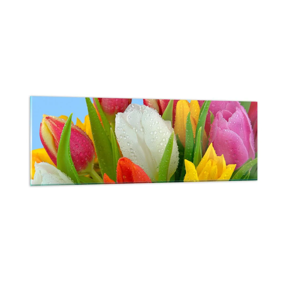 Cuadro sobre vidrio - Impresiones sobre Vidrio - Arco iris floral en gotas de rocío - 90x30 cm