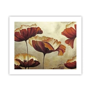 Póster - Prado de prados - 50x40 cm