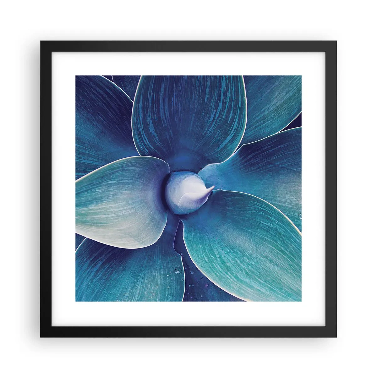 Póster en marco negro - Azul del cielo - 40x40 cm