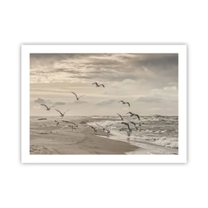 Póster - El sonido del mar, el canto de los pájaros - 70x50 cm