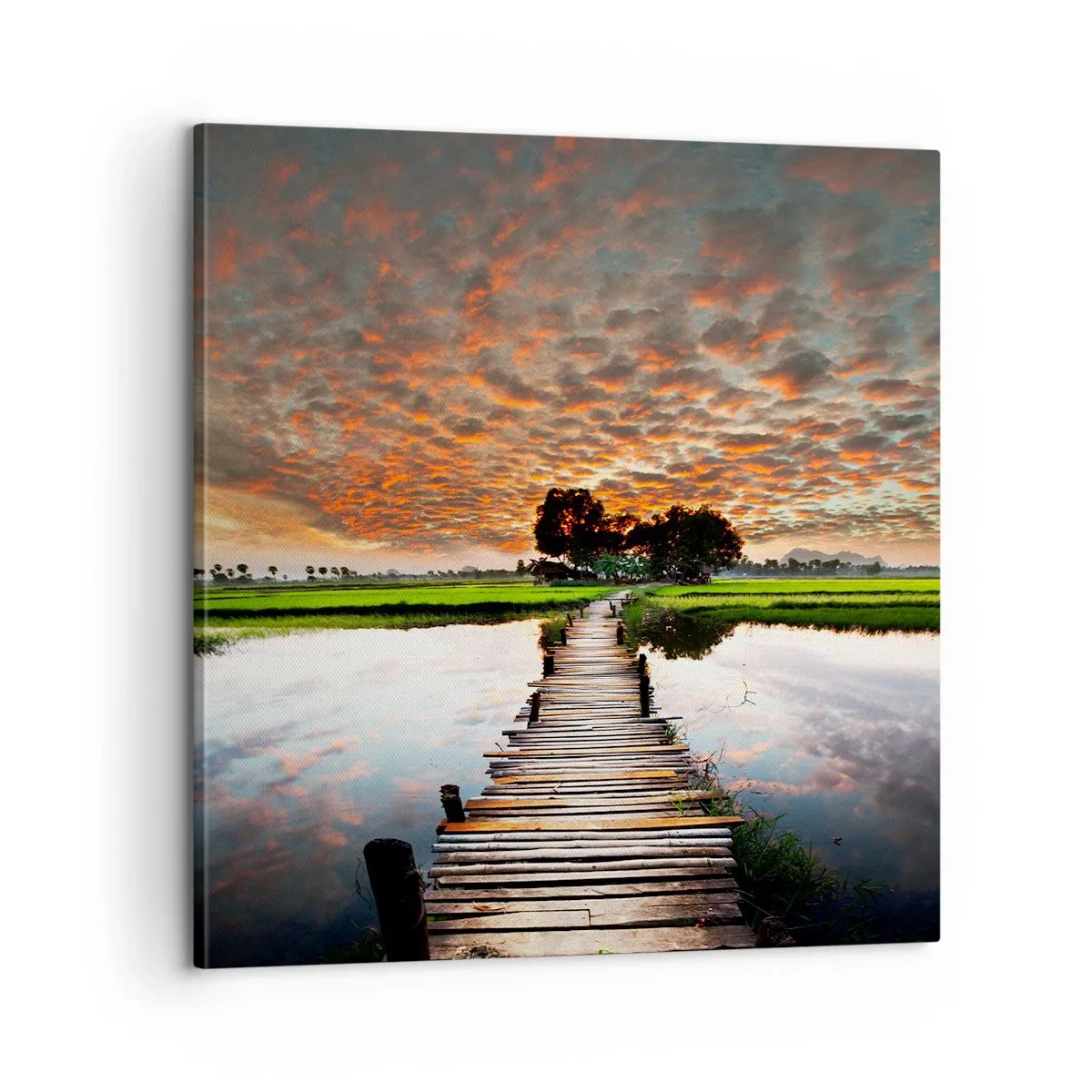 Cuadro sobre lienzo - Impresión de Imagen - Extiende tus brazos - respira  - 60x60 cm