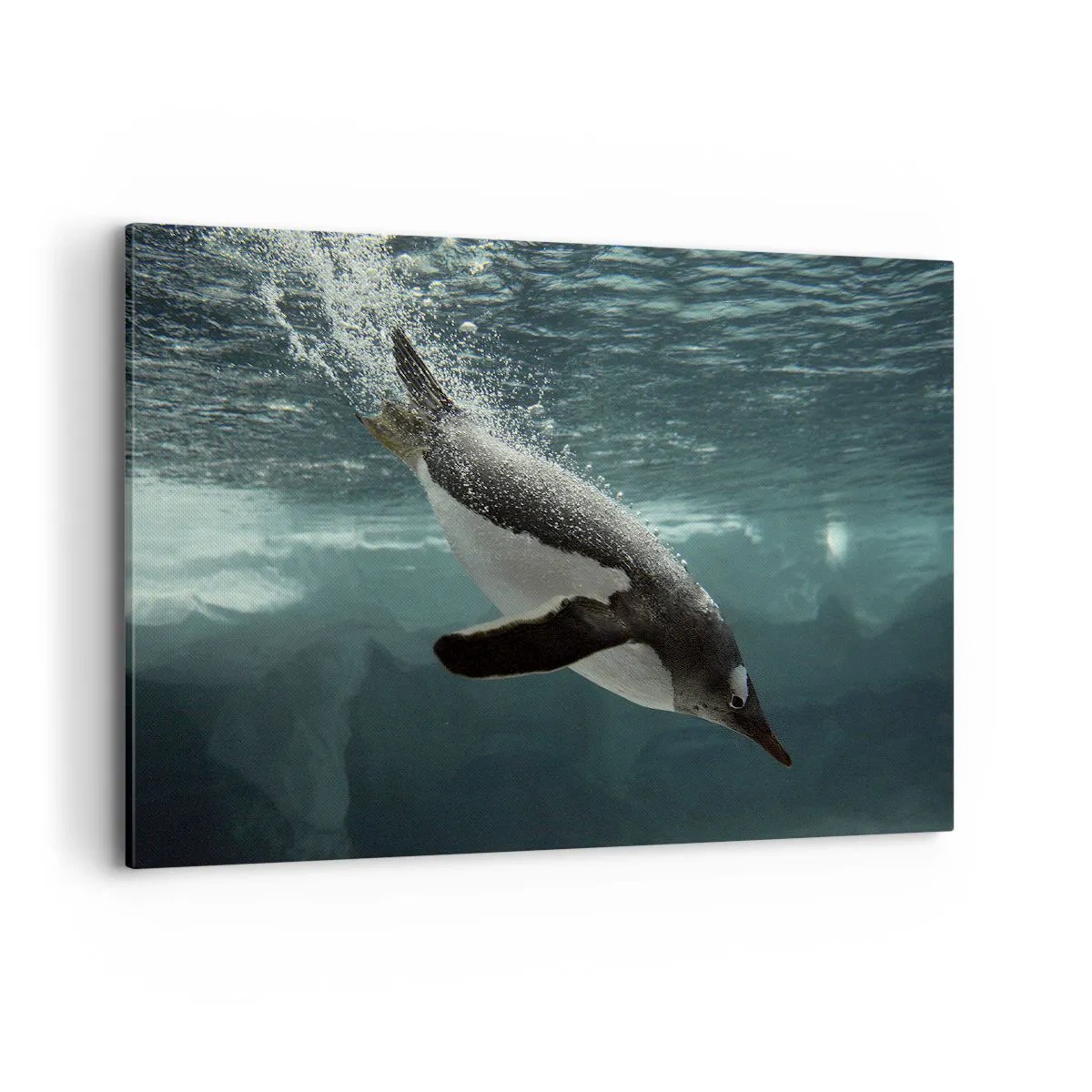 Cuadro sobre lienzo - Impresión de Imagen - Un pingüino sumergiéndose en las profundidades del agua helada. - 100x70cm - Bienvenido a mi mundo - Decoración de pared moderna para salón y dormitorio ARTTOR