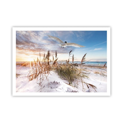 Póster - Playa con gaviotas volando al atardecer - 100x70cm - Viento del mar - Decoración de pared moderna para salón y dormitorio ARTTOR