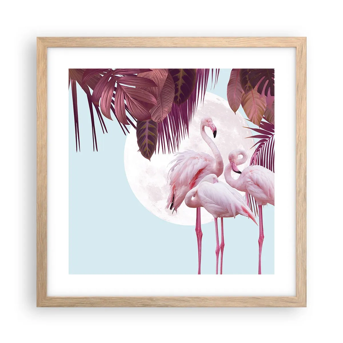 Póster en marco roble claro - La grandeza de las aves - 40x40 cm