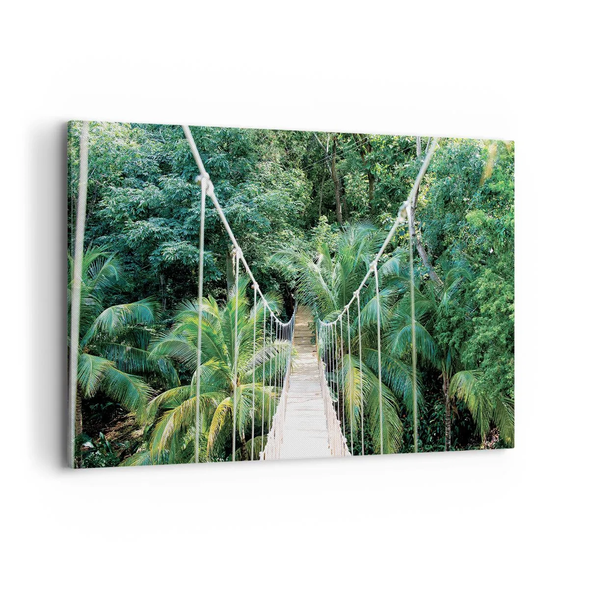 Cuadro sobre lienzo - Impresión de Imagen - Un puente colgante en una selva tropical llena de vegetación. - 120x80cm - ¡Bienvenido a la selva! - Decoración de pared moderna para salón y dormitorio ARTTOR