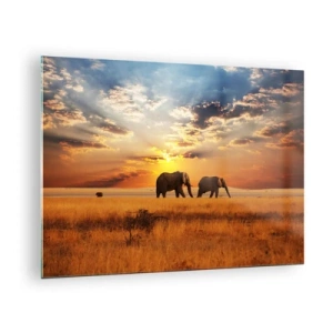 Cuadro sobre vidrio - Impresiones sobre Vidrio - Elefantes en la sabana africana al atardecer - 70x50cm - Un paseo en familia - Decoración de pared moderna para salón y dormitorio ARTTOR