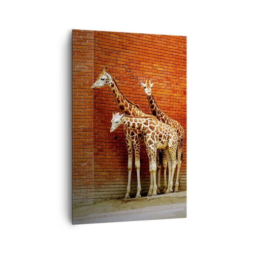 Cuadro sobre lienzo - Impresión de Imagen - Cuatro jirafas contra una pared de ladrillos en un entorno artístico. - 80x120cm - ¿Ves alguna acacia? - Decoración de pared moderna para salón y dormitorio ARTTOR