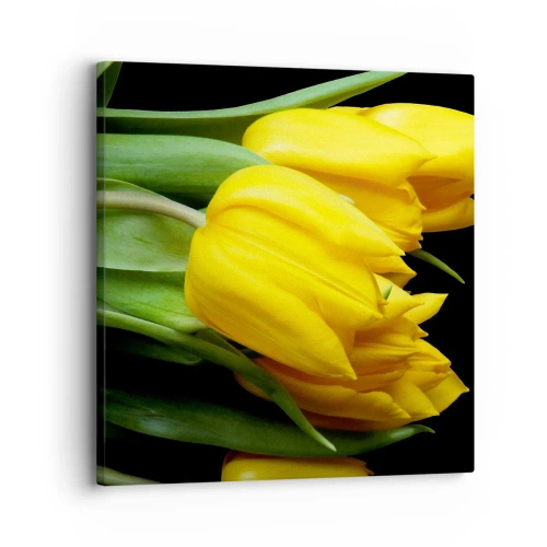 Cuadro sobre lienzo - Impresión de Imagen - Resucitado de puro sol - 30x30 cm