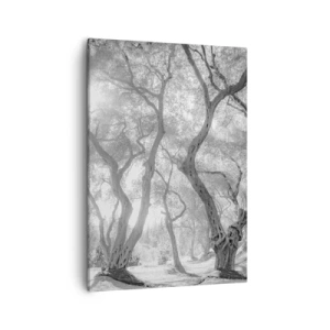 Cuadro sobre lienzo - Impresión de Imagen - Vista en blanco y negro de árboles en un olivar con rayos de sol. - 50x70cm - En un olivar - Decoración de pared moderna para salón y dormitorio ARTTOR