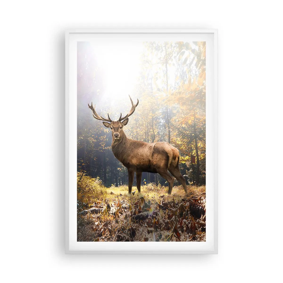 Póster en marco blanco - Con toda la majestuosidad - 61x91 cm