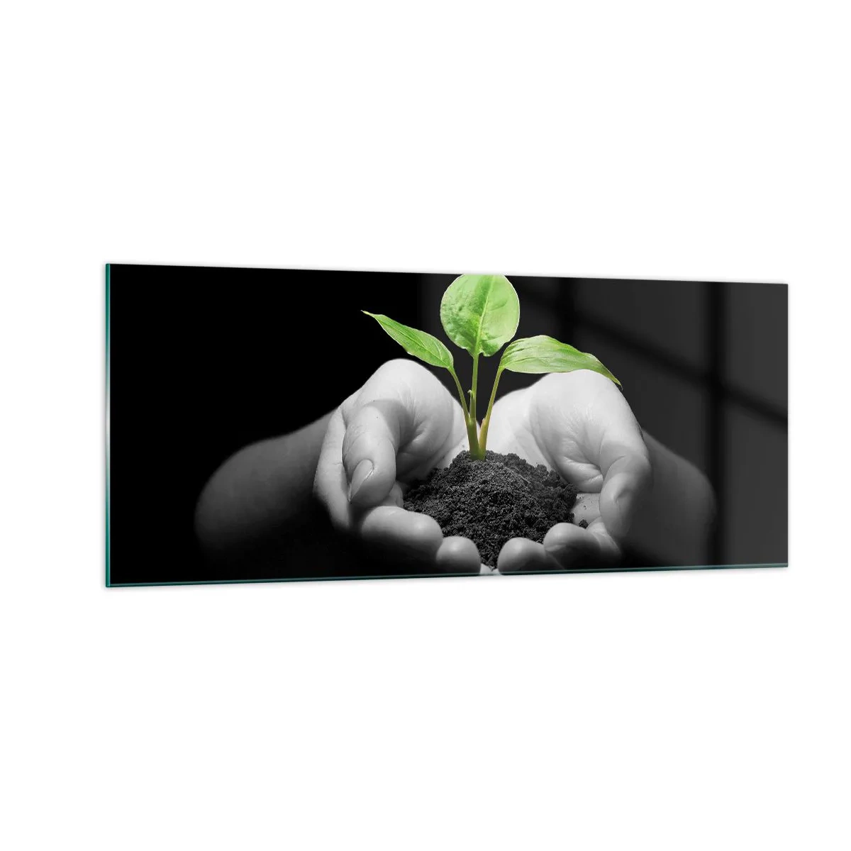 Cuadro sobre vidrio - Impresiones sobre Vidrio - Amo la naturaleza, la protejo - 100x40 cm