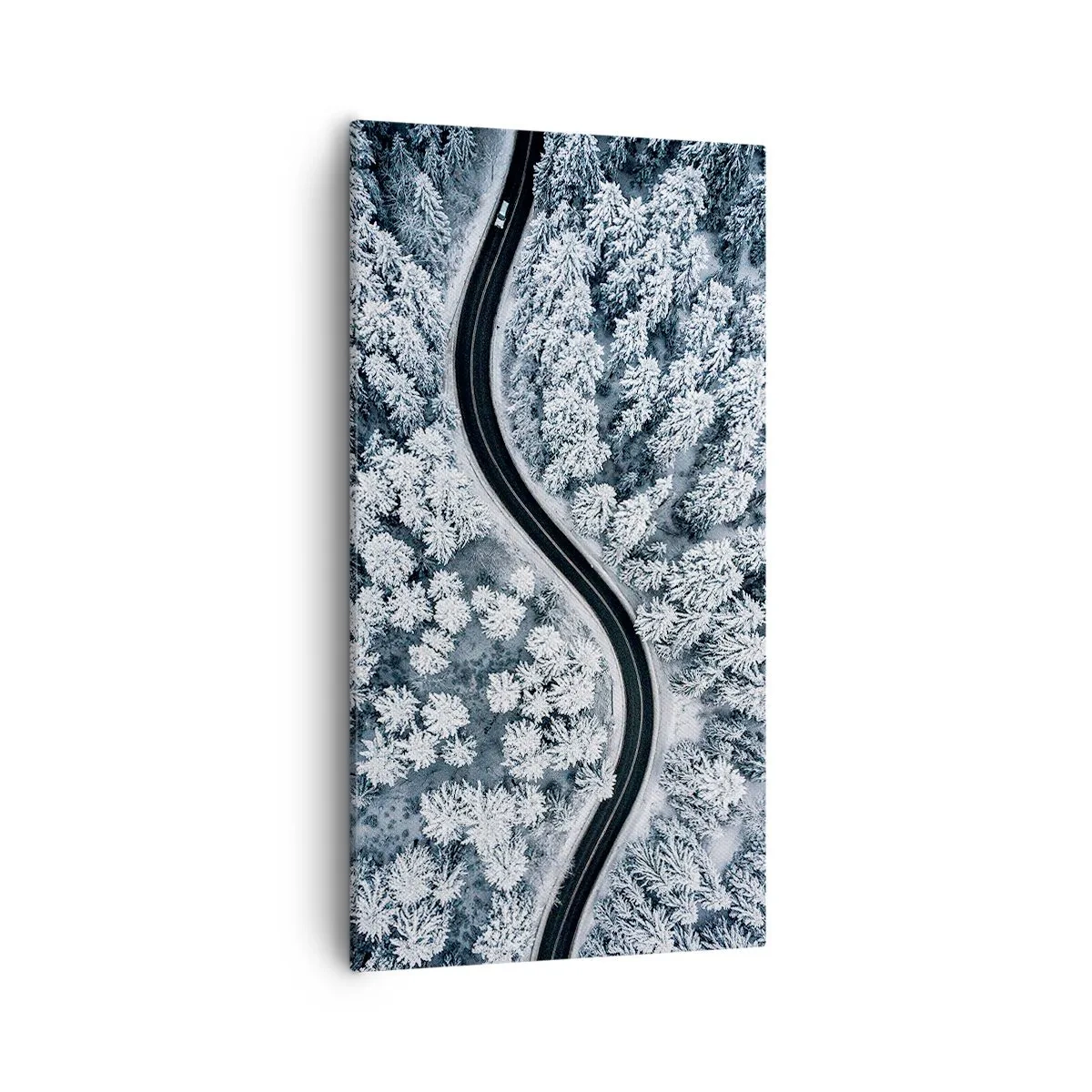 Cuadro sobre lienzo - Impresión de Imagen - A través de un bosque invernal - 55x100 cm