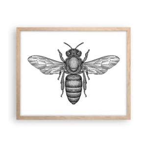 Póster en marco roble claro - Retrato de insecto - 50x40 cm