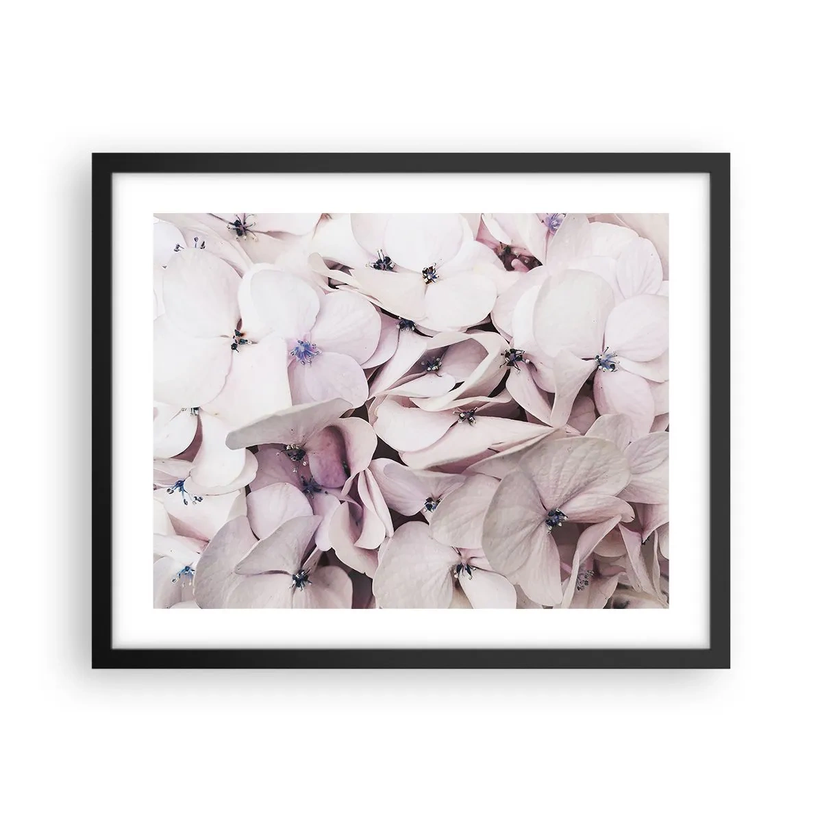 Póster en marco negro - En un torrente de flores - 50x40 cm