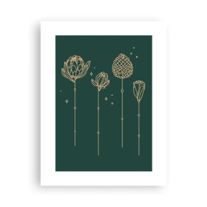 Póster - La familia vegetal - 30x40 cm