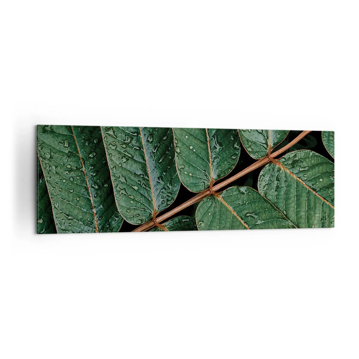 Cuadro sobre lienzo - Impresión de Imagen - Fotografía macro de hojas verdes con gotas de rocío. - 160x50cm - En un ritmo verde - Decoración de pared moderna para salón y dormitorio ARTTOR
